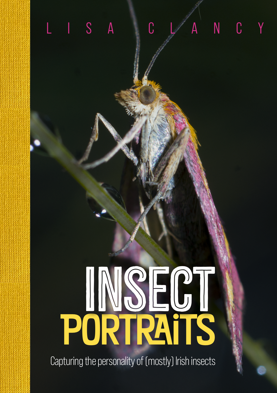 Insect Portraits book cover, by Lisa Clancy